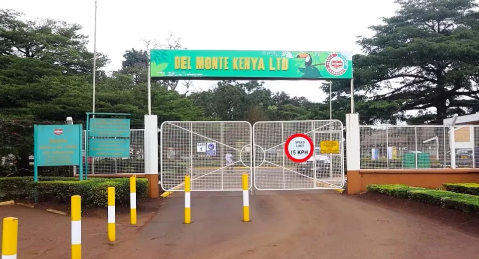 The high court on Thursday dismissed a case that had sensationally accused US Multinational Del Monte of killing and assaulting locals in its vast pineapple plantation in Kenya.