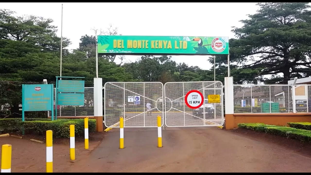 The high court on Thursday dismissed a case that had sensationally accused US Multinational Del Monte of killing and assaulting locals in its vast pineapple plantation in Kenya.